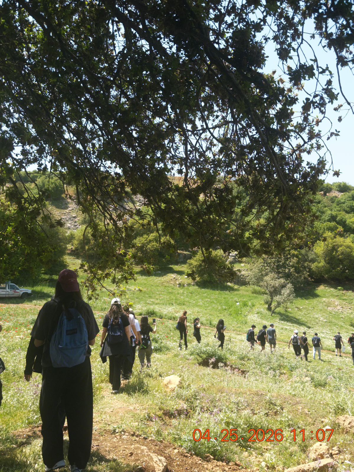 Participants walking outdoors during The Health Shift project